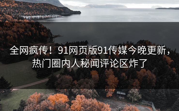 全网疯传！91网页版91传媒今晚更新，热门圈内人秘闻评论区炸了