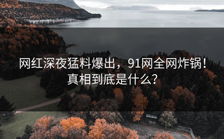 网红深夜猛料爆出，91网全网炸锅！真相到底是什么？