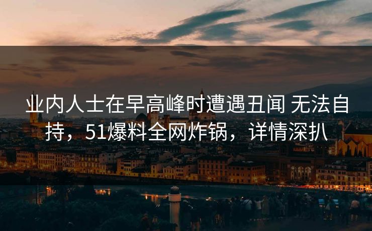 业内人士在早高峰时遭遇丑闻 无法自持，51爆料全网炸锅，详情深扒